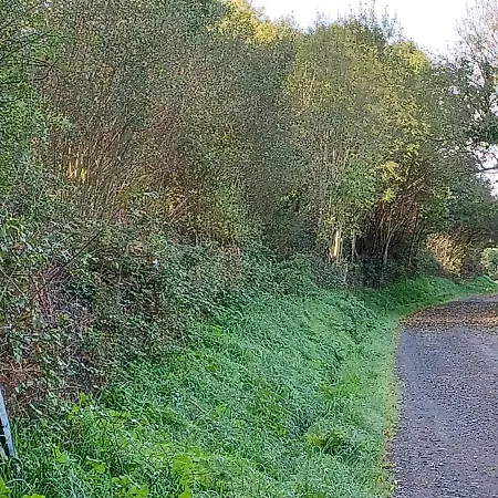 Du Lerre Baie Du Mont St Michel Meuble De Tourisme 3 Etoiles Σπίτι διακοπών *